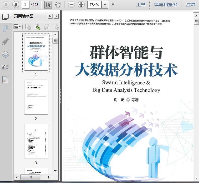 数据处理:大数据分析与群体智能技术及其应用